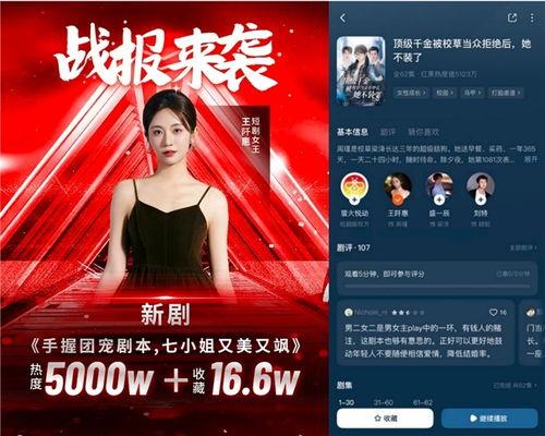 手握团宠剧本，七小姐又美又飒,绝色风华，团宠之巅