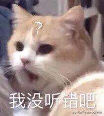 闪婚后我逼疯了老公,我如何逼疯了我的老公