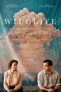 狂野生活,探寻激情四溢的人生旅程